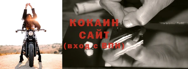 ГАЛЛЮЦИНОГЕННЫЕ ГРИБЫ Вяземский