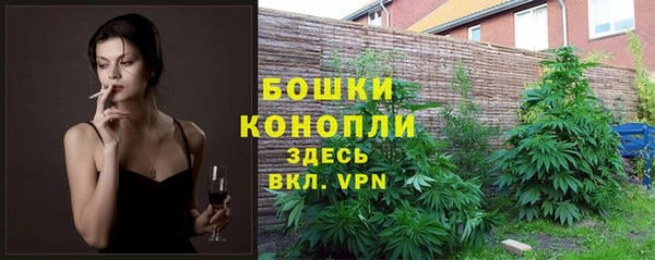 прущие крисы Инсар