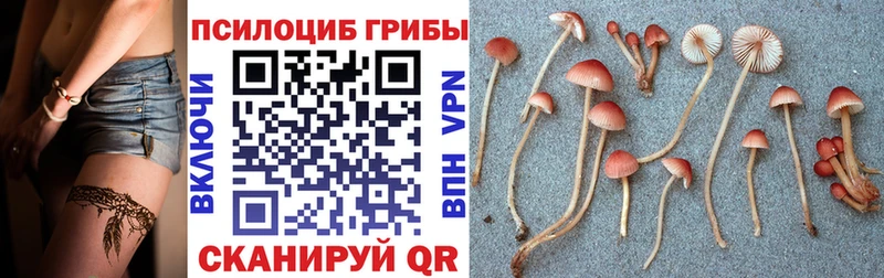Галлюциногенные грибы GOLDEN TEACHER  omg зеркало  Кедровый 