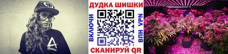 где найти   Кедровый  Канабис White Widow 